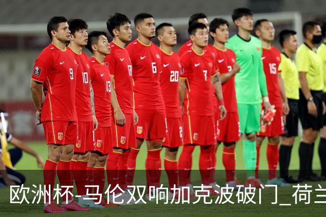 欧洲杯-马伦双响加克波破门 荷兰3-0罗马尼亚